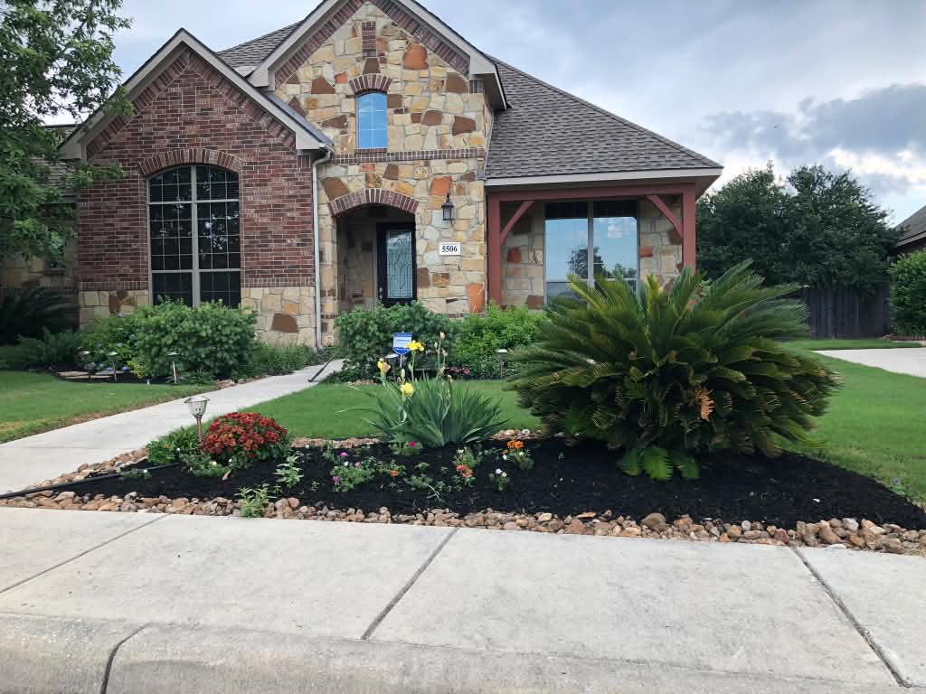 A refreshed front yard with a mulched color bed, sago palm and mown lawn.