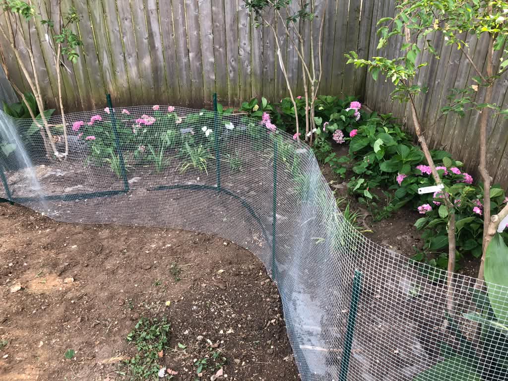 A newly planted flower bed with fresh soil and a low border.