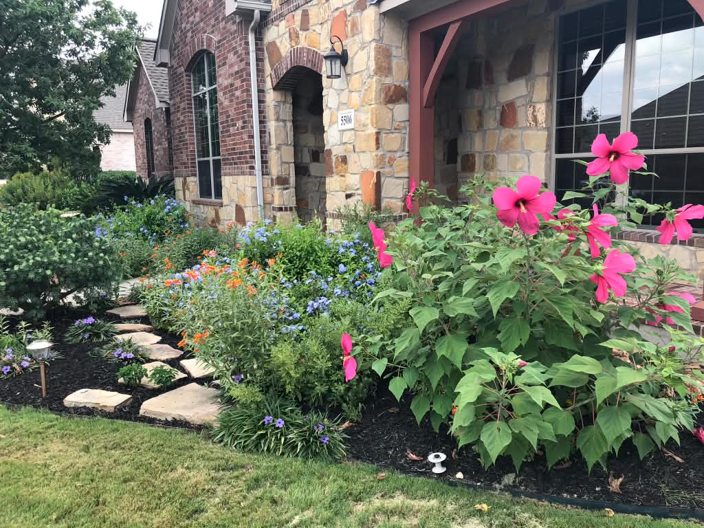 A full front-yard flower bed with a flagstone stepping-stone path.